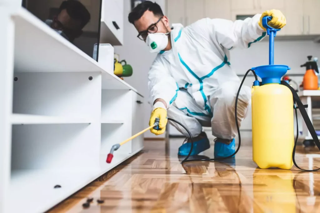 pest control chicago